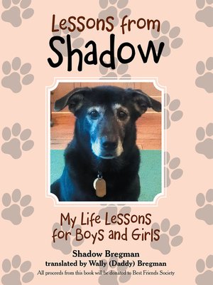 Lessons from Shadow by Shadow Bregman
